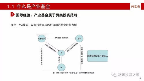 產業基金的建立、投資策略、投后管理與風險控制